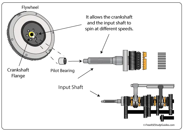 Clutch pilot bearing location and function.