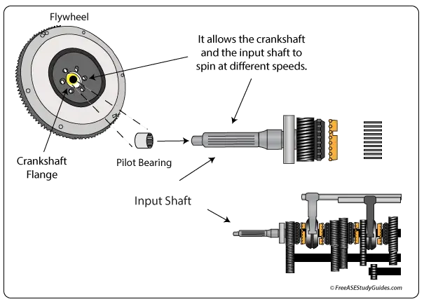 clutch-pilot-bearing-noise-squeal