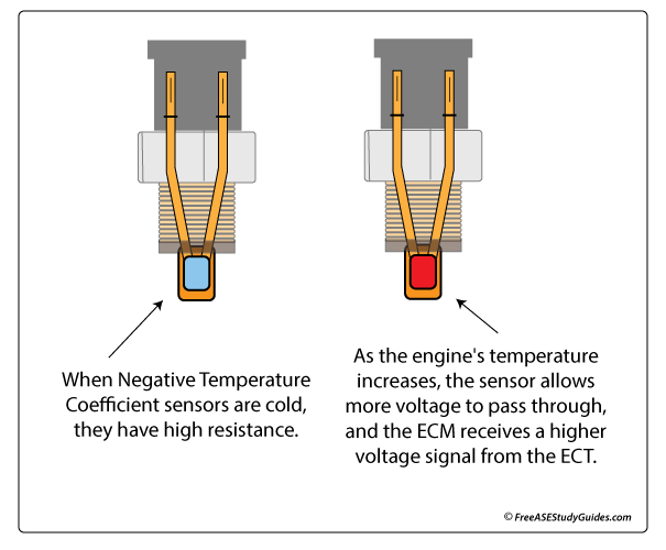 Negative Temperature Coefficient (NTC) ECT sensors