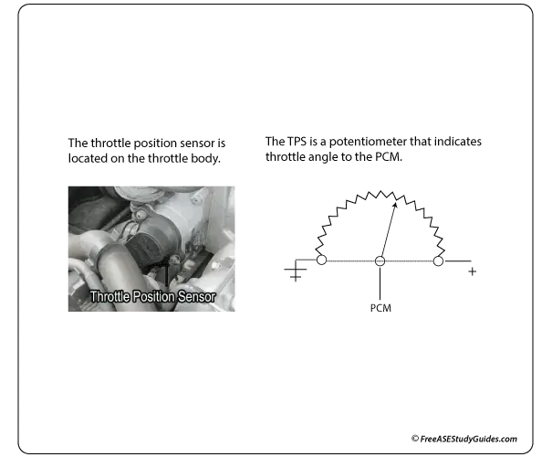 Throttle Position Sensor