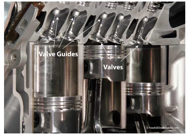 Engine cylinder cutaway.